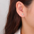Pozlacené stříbrné náušnice se zirkony 3138030001