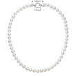 dámský náhrdelník s perlou 22003.1