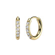 Pozlacené titanové náušnice kroužky s Moissanity SEMTERH01-8GD