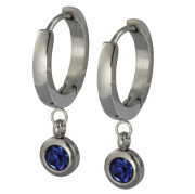 Kruhové náušnice z chirurgické oceli se zirkonem ESS651BK