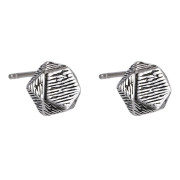 Náušnice z chirurgické oceli pecky ESS843