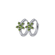 Kruhové náušnice z chirurgické oceli WJHE1235ST-Green