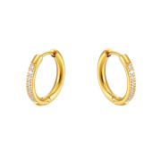 Zlaté náušnice z chirurgické oceli WJHE994GD