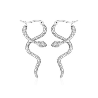 Náušnice z chirurgické oceli hadi WJHE839ST