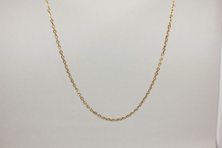 Pozlacený řetízek z chirurgické oceli Genco GNSSC02BGD