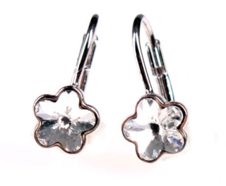 Náušnice stříbrné 302014