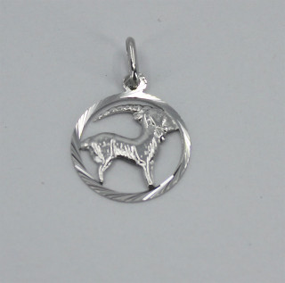 Přívěsek se znamením Kozoroh 3035820011