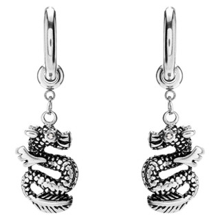 Ocelové náušnice s drakem WJHE1274