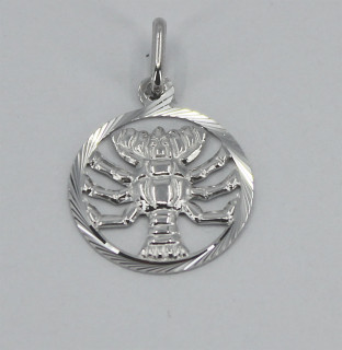 Přívěsek se znamením Rak stříbrný 3035760011