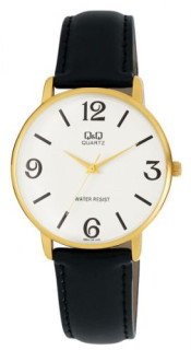 Pánské hodinky Q+Q Q854-104