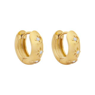 Zlaté náušnice kroužky z chirurgické oceli WJHE941GD