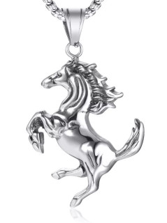 Ocelový náhrdelník koníček 1510