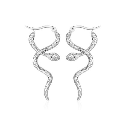 Náušnice z chirurgické oceli hadi WJHE839ST