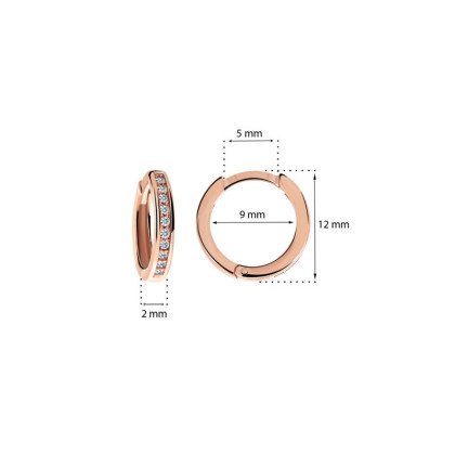 Zlaté náušnice C3343R