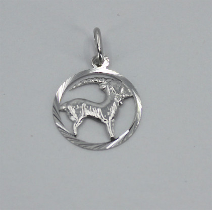 Přívěsek se znamením Kozoroh 3035820011