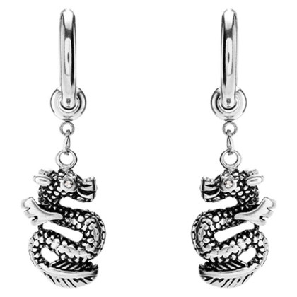 Ocelové náušnice s drakem WJHE1274