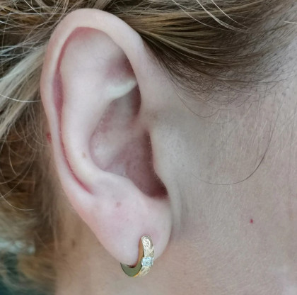 Náušnice kroužky chirurgická ocel GESS205GD