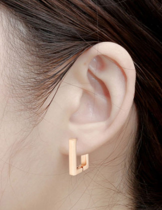 Elegantní ocelové náušnice WJHE14