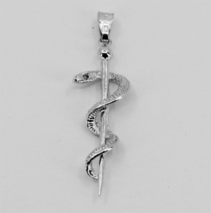 Stříbrný přívěsek na řetízek Aeskulapova hůl 313084001