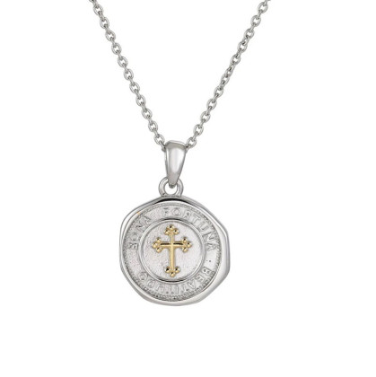 Přívěsek z chirurgické oceli mince pro štěstí + řetízek GPSS1542GD