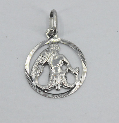 Přívěsek se znamením Vodnář stříbrný 3035830010