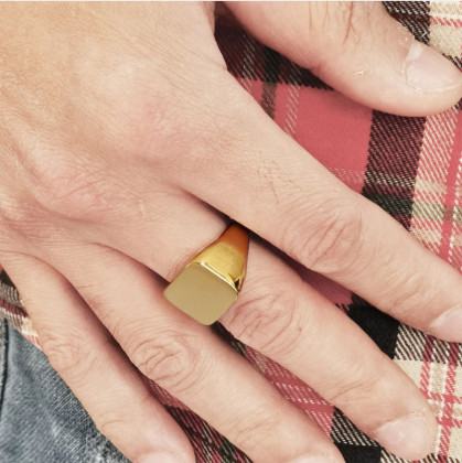 Zlatý pečetní prsten z chirurgické oceli RSS1006GD
