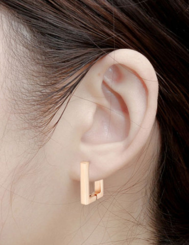 Elegantní ocelové náušnice WJHE14