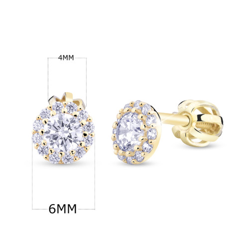 Zlaté náušnice na šroubek C2745