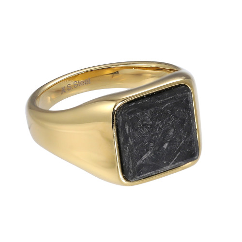 Pánský pečetní prsten chirurgická ocel RSS1053GD